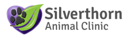 Silverthorn Animal Clinic